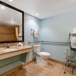 Chambre Lit King-Size avec Accès aux Personnes Handicapées